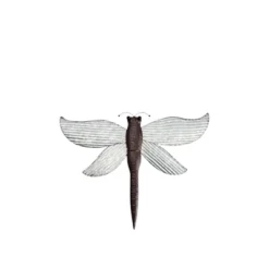 The Lakeside Collection Galvanized Wall Decor -Home Properties GUEST 3f02c972 678f 464c 8efa 68e6c209f2e9