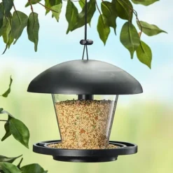 The Lakeside Collection Bird Feeder With Round Black Cover And Platform -Home Properties GUEST 70965e9b ac61 4e56 9791 93140360ac60