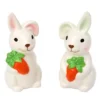 The Lakeside Collection Whimsical Spring Teal Bunny Easter Tabletop Collection - Salt And Pepper Shaker Set 2 The Lakeside Collection Whimsical Spring Teal Bunny Easter Tabletop Collection - Salt And Pepper Shaker Set -Home Properties GUEST 7c7dfb4a 9ea3 4eb8 b6b1 5833864c546e