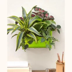 The Lakeside Collection Double Wall Planter For Vertical Gardens, Living Walls - Indoor/Outdoor -Home Properties GUEST a52c928f 255d 4cb6 b2c8 ee27ba90f49f