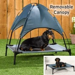 The Lakeside Collection Elevated Pet Bed With Canopy -Home Properties GUEST a7a03bda f4c4 4375 8c7b a31f1b31faac