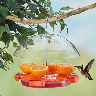 The Lakeside Collection Hummingbird Feeder For Food And Nectar With Clear Shield 6 The Lakeside Collection Hummingbird Feeder For Food And Nectar With Clear Shield - Image 4
